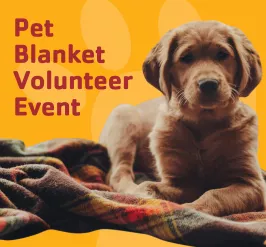 23 Pet Blanket Event