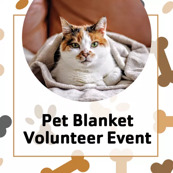 Pet Blanket Volunteer Event